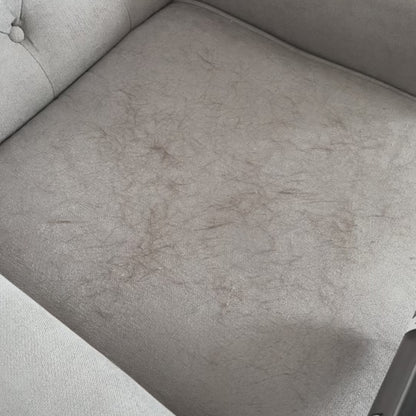 FurZilla™ Pet Hair Remover