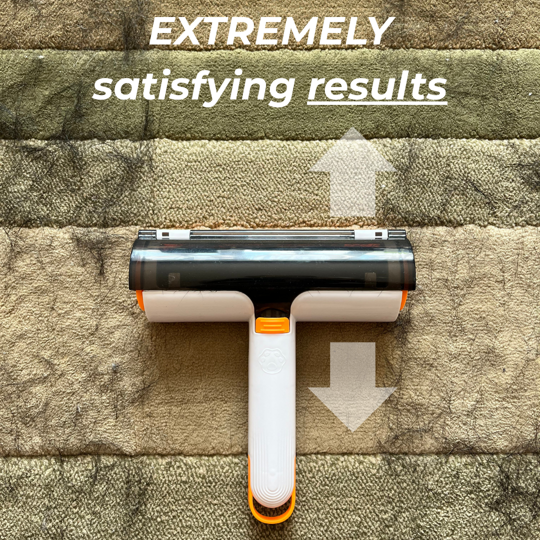 FurZilla - World's FASTEST Pet Hair Remover